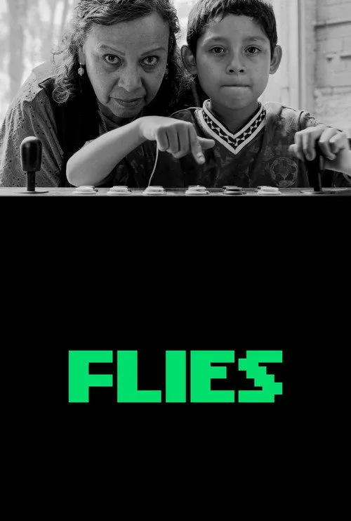 Flies poster