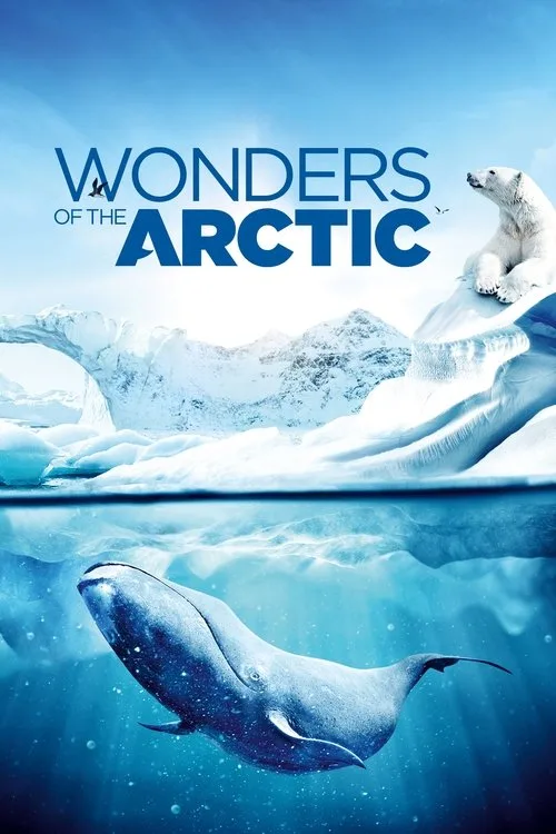 The Wonders